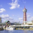 중동1252 이미지