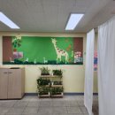 배곧해솔중학교 이미지