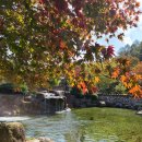 구천동송어마을 이미지