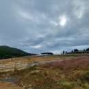 사계절목장 이미지