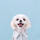 좋은날사진관