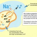 장인약국 이미지