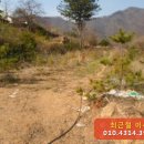 강림면377 이미지