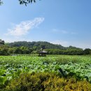 연꽃펜션 이미지