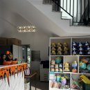 쥬쥬클럽 | 고양시-일산 동물원/쥬쥬동물원, 쥬쥬랜드 주말 방문후기