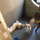 미스터 송헤어