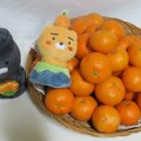 홍순농장 이미지