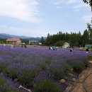 산천농장 이미지