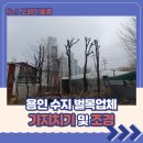 (유)기흥인터내셔널 서초점 | 용인 수지 벌목업체 가지치기 및 조경