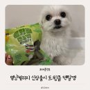 더덴탈 | 멍냥빌리지 소프트덴탈껌 트윙클 덴탈껌 체험후기