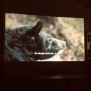 구례공공도서관 | [모임 후기] 다큐 <야생동물 통제구역> 공동체 상영회 (with 녹색연합) &amp; 기후책 읽기 모임 - '악의...