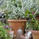 정원인테리어 이미지