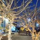 벨루스로즈 펜션 이미지