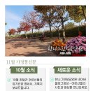 한나그린힐 요양원 이미지