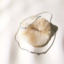 라므아르 이미지