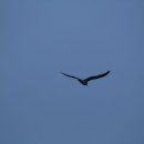 지오펜션 이미지