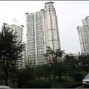 동탄숲속로 이미지