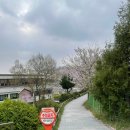 예수대학교 이미지