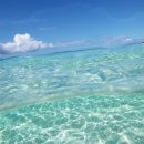 바닷가 풍경 이미지