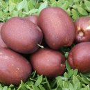 성하농장 이미지