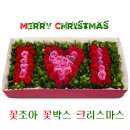 꽃조아 이미지
