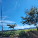 매운수제비 이미지