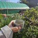 홍주성천년여행길 이미지