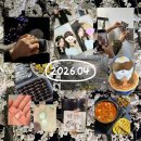 도토리군버섯양 | [공지] [26.04] Lv. 4 저는 행복한 사람입니다. ☘️