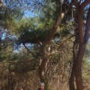 성안주유소 이미지