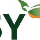 재건상회 이미지