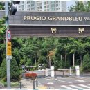 판교역부근 이미지