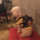 카페플로버 이미지