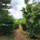 옥정 생태숲공원 이미지