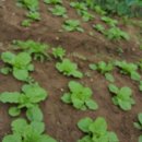 동신농장 이미지