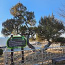 기미만세공원 이미지