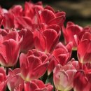 성균관태권도1관 이미지