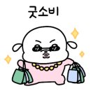 캐치팡팡 이미지