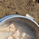 황호농장 이미지