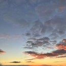 산솔마을 | 혼자 걷는 산티아고 순례길 8.(산솔 - 로그로뇨) 와인축제? 그리고 핀초 골목