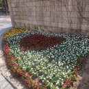 평촌M&M소아과의원 이미지