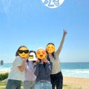 우정유통 | [강원도 묵호] 묵호 1박2일 여행 뚜벅이 코스 경비 우정여행