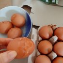 쌀전식품 | 유정란 택배 주문 후기
