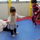연세키즈태권도 이미지