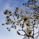 윤후동물병원 이미지