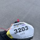 50 | 2026 부산 50K 트레일러닝 완주 후기 / BUSAN 50K 37KM 코스!