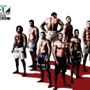 파이트아카데미 이미지