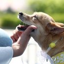 낙성대동-27 이미지