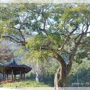 서북동마을 이미지