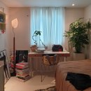 맹그로브 신설 이미지