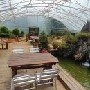 금강산흑염소전문점 이미지